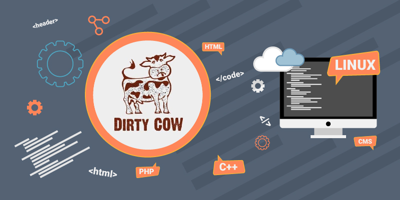 I 25 anni di Linux e di Dirty COW